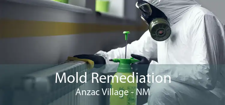 Mold Remediation Anzac Village - NM
