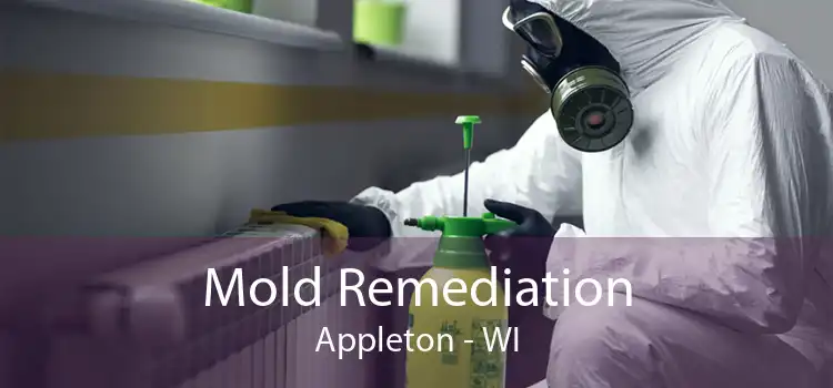 Mold Remediation Appleton - WI
