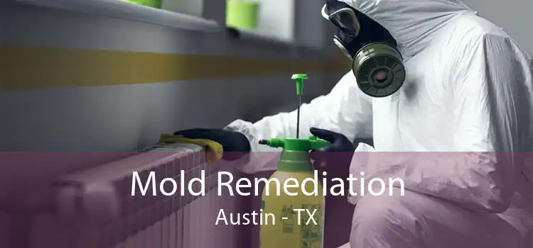 Mold Remediation Austin - TX