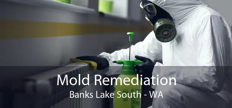 Mold Remediation Banks Lake South - WA