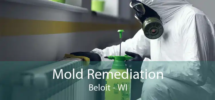  Mold Remediation Beloit - WI