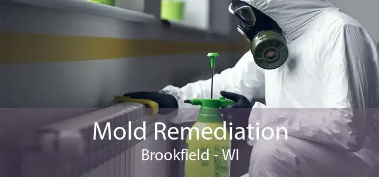  Mold Remediation Brookfield - WI