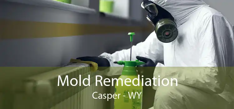 Mold Remediation Casper - WY