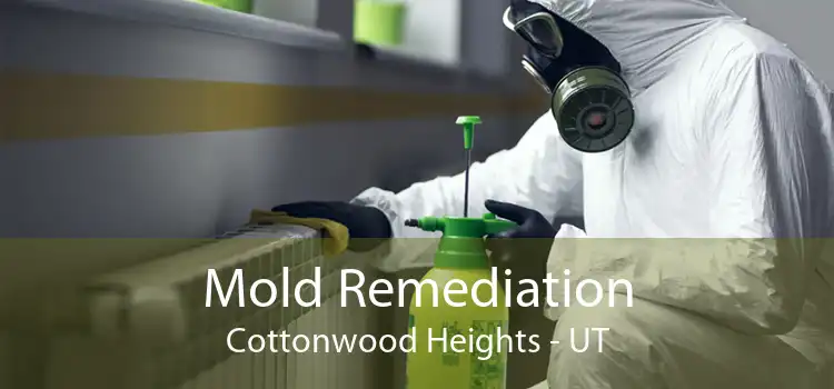 Mold Remediation Cottonwood Heights - UT