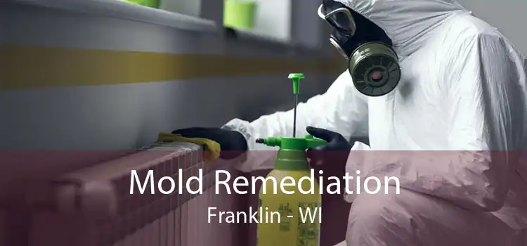  Mold Remediation Franklin - WI