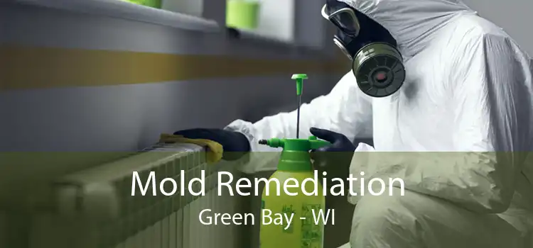 Mold Remediation Green Bay - WI