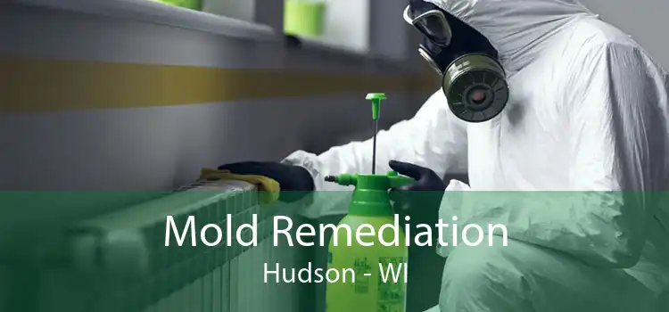  Mold Remediation Hudson - WI