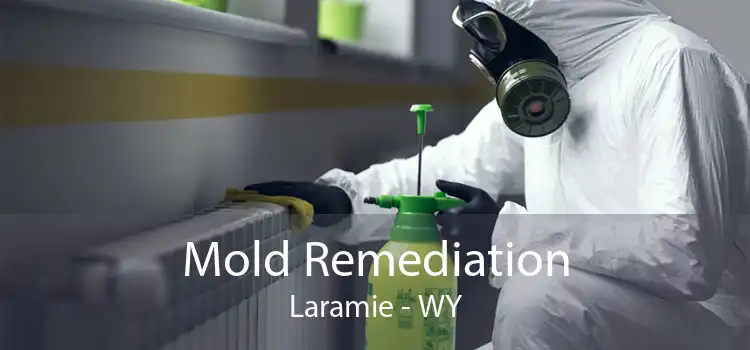 Mold Remediation Laramie - WY