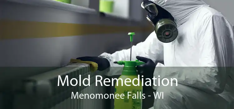 Mold Remediation Menomonee Falls - WI