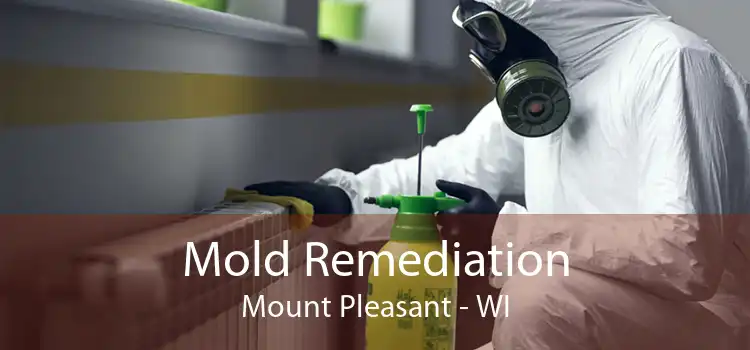  Mold Remediation Mount Pleasant - WI