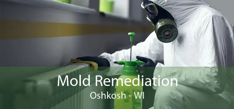 Mold Remediation Oshkosh - WI