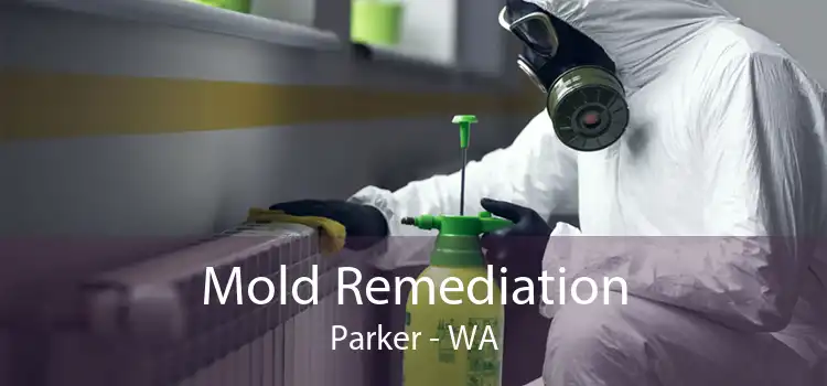 Mold Remediation Parker - WA