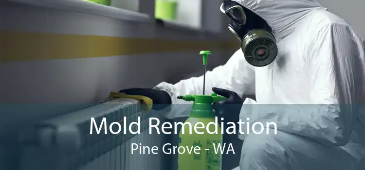  Mold Remediation Pine Grove - WA