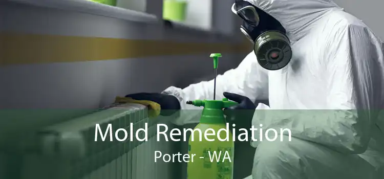Mold Remediation Porter - WA