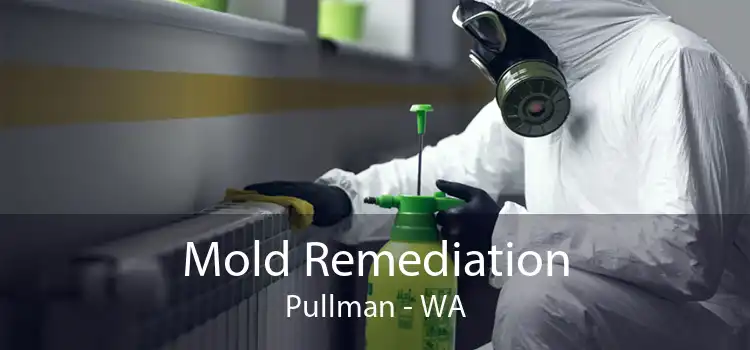 Mold Remediation Pullman - WA