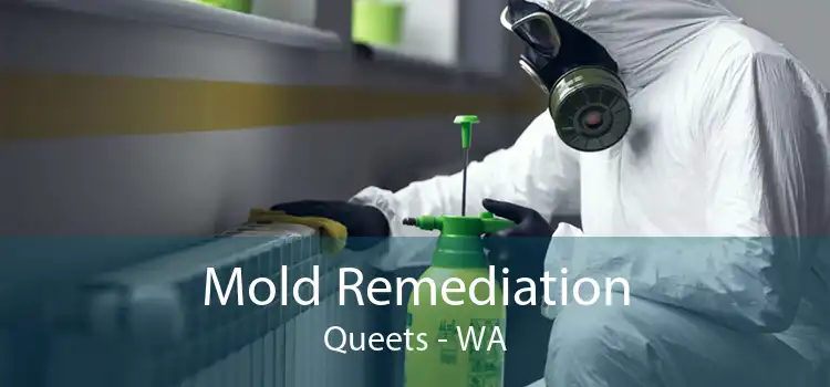  Mold Remediation Queets - WA