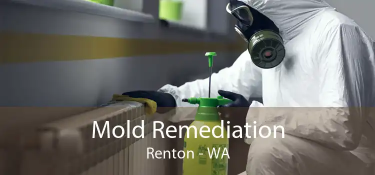  Mold Remediation Renton - WA