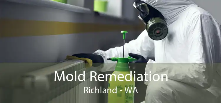 Mold Remediation Richland - WA