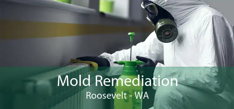  Mold Remediation Roosevelt - WA