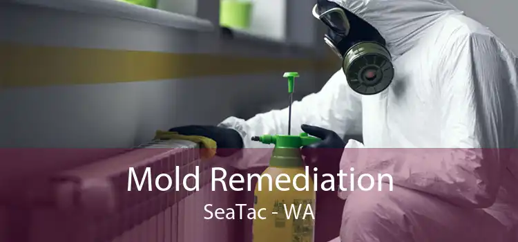  Mold Remediation SeaTac - WA