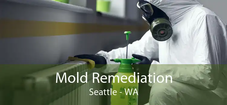 Mold Remediation Seattle - WA
