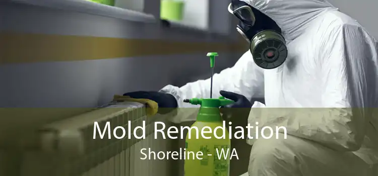 Mold Remediation Shoreline - WA