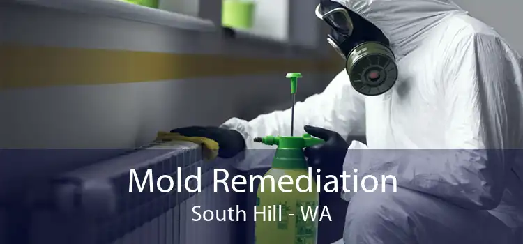  Mold Remediation South Hill - WA