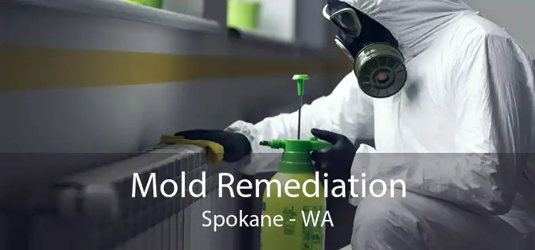  Mold Remediation Spokane - WA