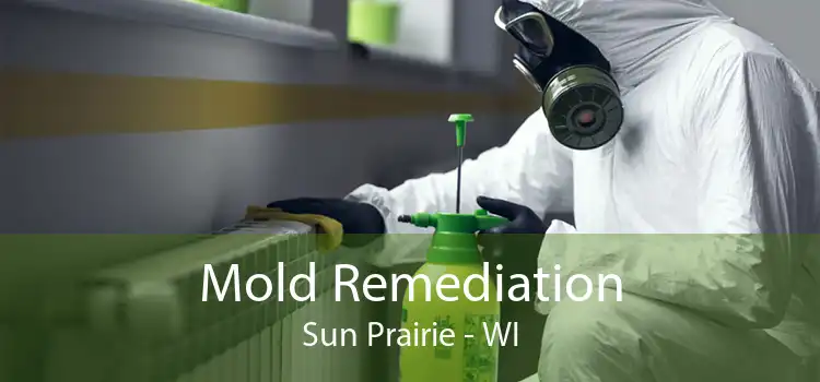  Mold Remediation Sun Prairie - WI