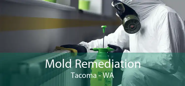 Mold Remediation Tacoma - WA