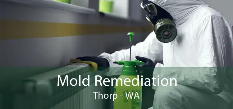  Mold Remediation Thorp - WA