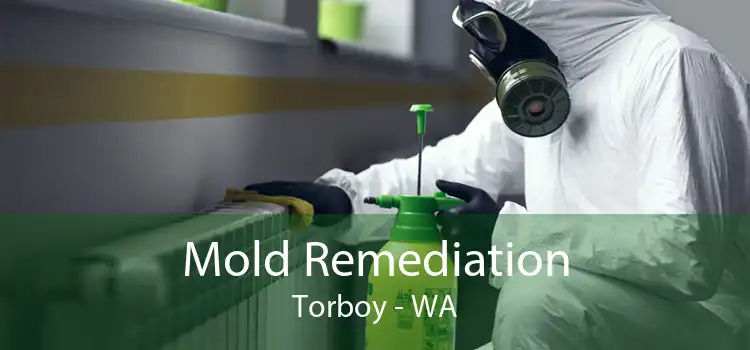  Mold Remediation Torboy - WA