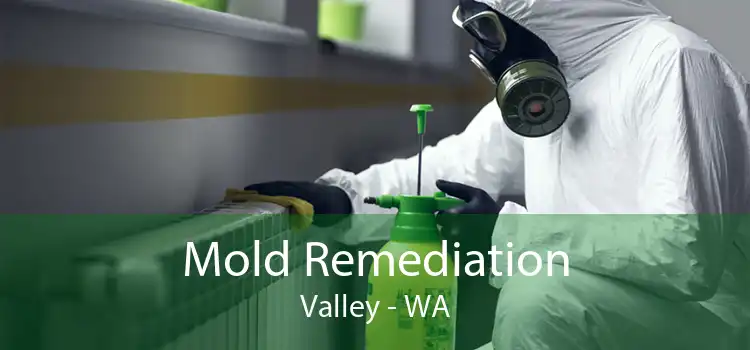 Mold Remediation Valley - WA