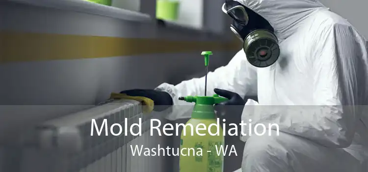  Mold Remediation Washtucna - WA