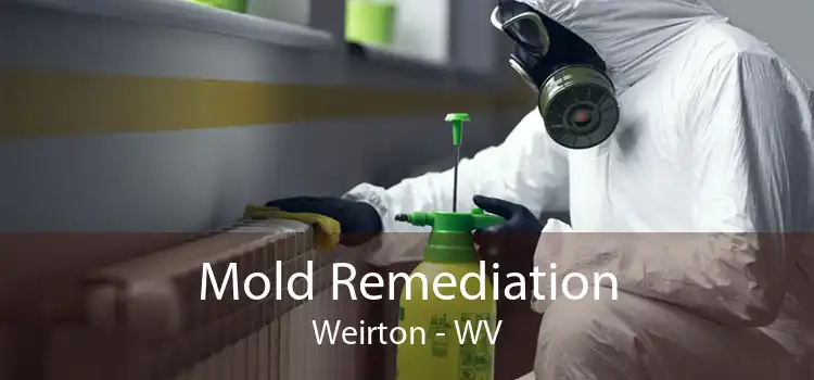 Mold Remediation Weirton - WV