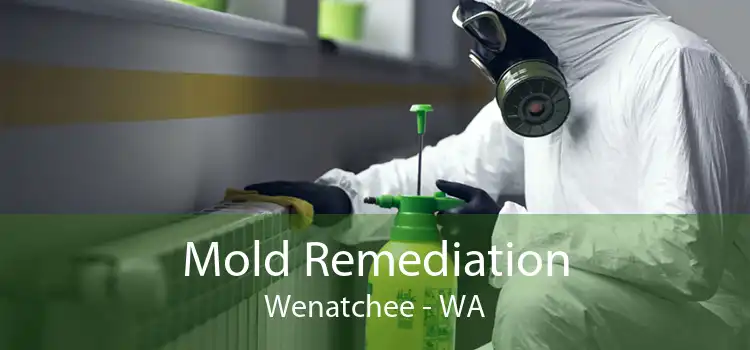  Mold Remediation Wenatchee - WA