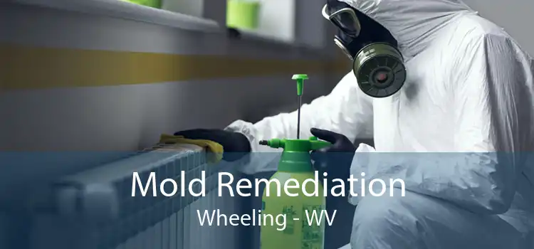  Mold Remediation Wheeling - WV