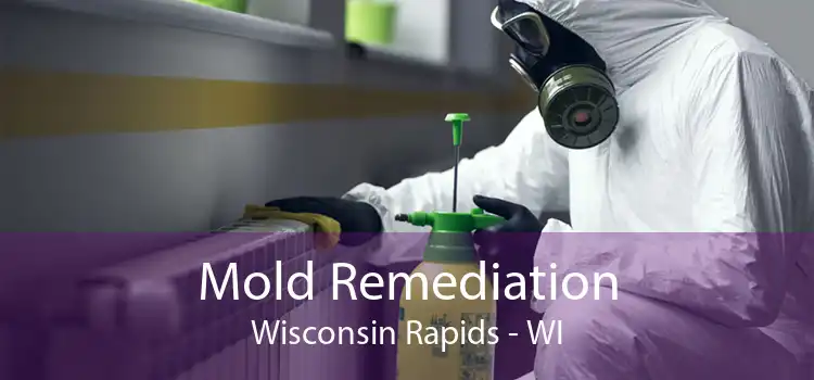 Mold Remediation Wisconsin Rapids - WI