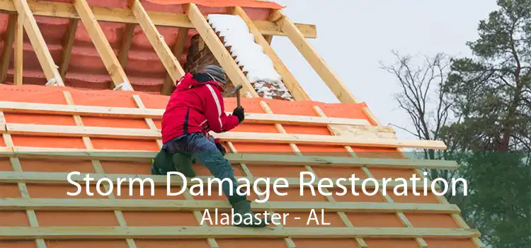  Storm Damage Restoration Alabaster - AL