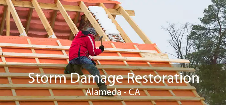  Storm Damage Restoration Alameda - CA