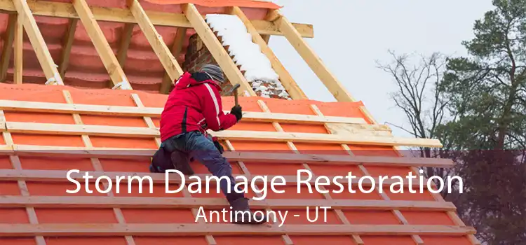 Storm Damage Restoration Antimony - UT