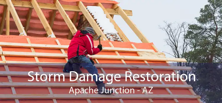 Storm Damage Restoration Apache Junction - AZ