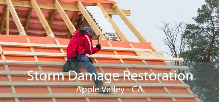  Storm Damage Restoration Apple Valley - CA