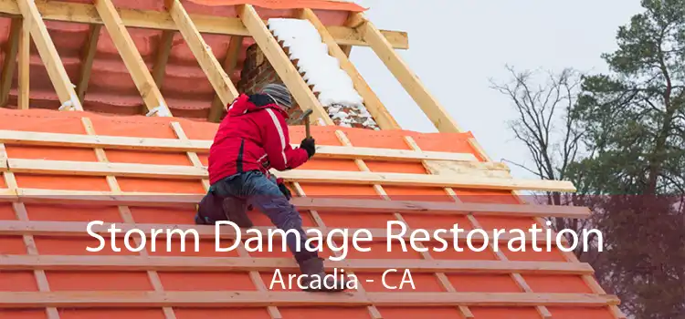 Storm Damage Restoration Arcadia - CA