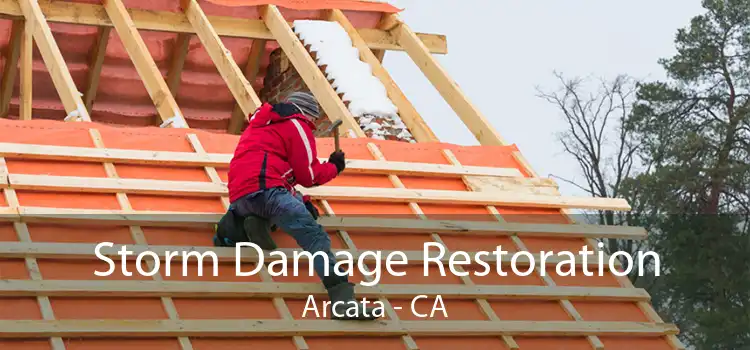  Storm Damage Restoration Arcata - CA