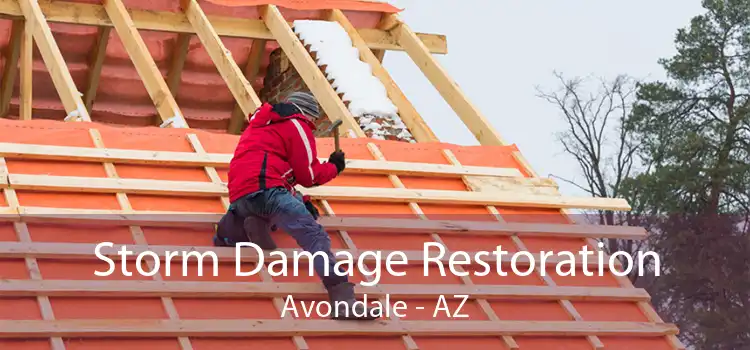Storm Damage Restoration Avondale - AZ