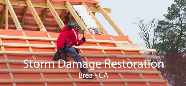  Storm Damage Restoration Brea - CA