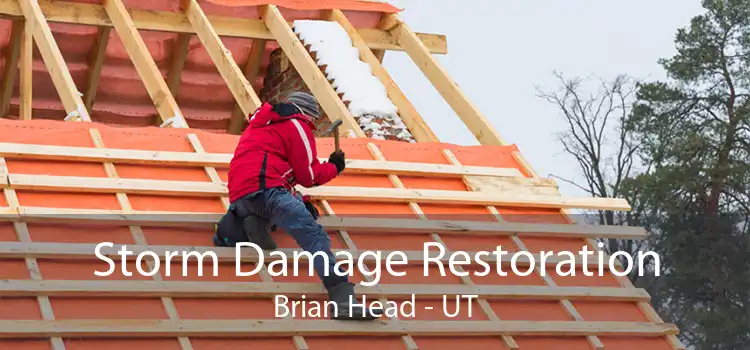 Storm Damage Restoration Brian Head - UT