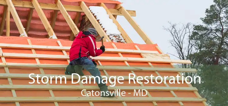 Storm Damage Restoration Catonsville - MD