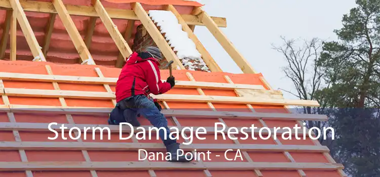  Storm Damage Restoration Dana Point - CA